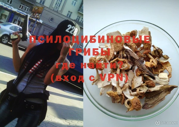 шишки Дмитровск