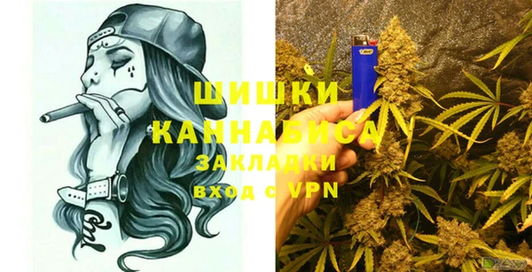 соль ск Дмитров