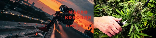шишки Дмитровск