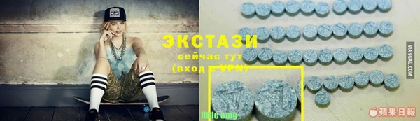 соль ск Дмитров