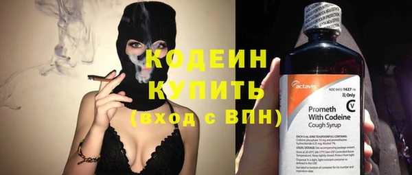 шишки Дмитровск