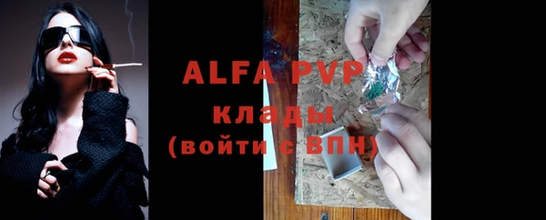 шишки Дмитровск