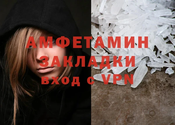 шишки Дмитровск