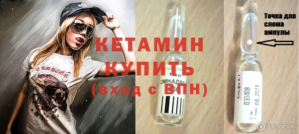 соль ск Дмитров