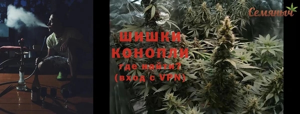 шишки Дмитровск