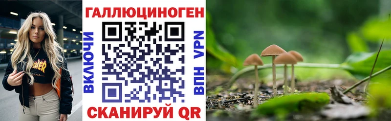 Галлюциногенные грибы MAGIC MUSHROOMS  Приморск 