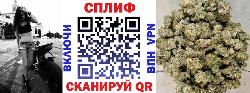 Канабис гибрид  Приморск 